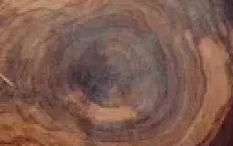 Weibliche Mitglieder